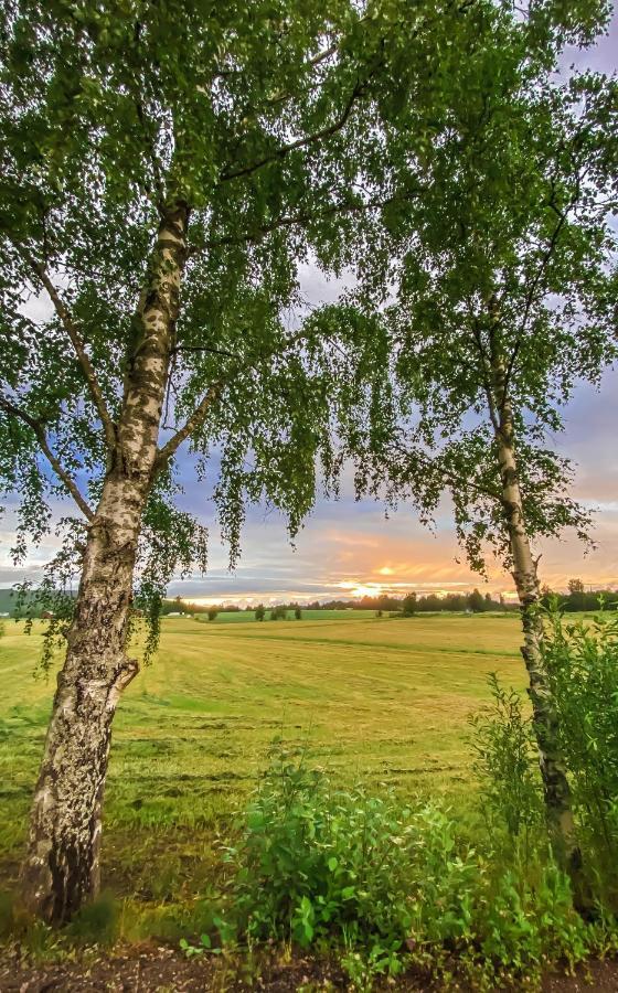 Kartano Kievari Äänekoski Dış mekan fotoğraf